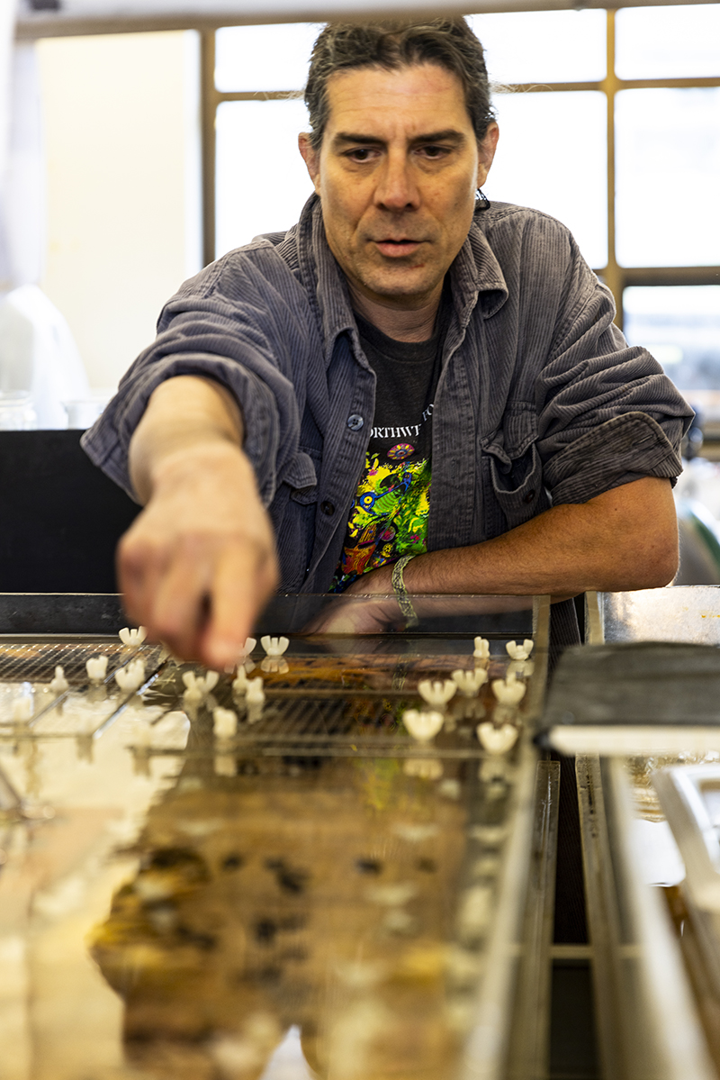 Jason Hodin in lab with sea star tanks