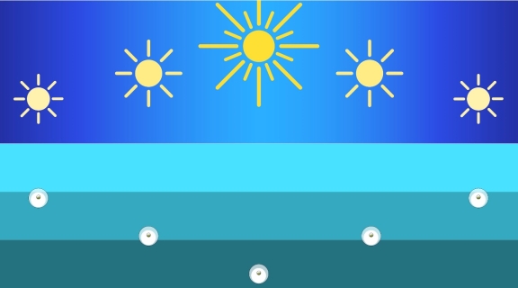 sun phases water biology graphic representation