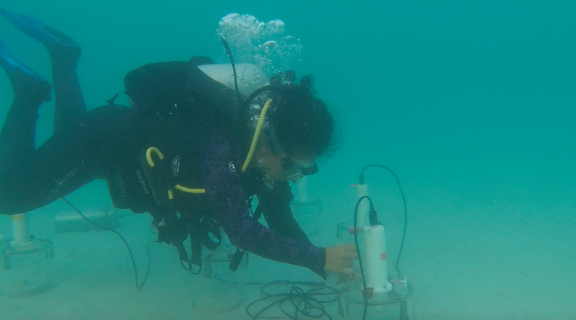 Alyssa Griffin scuba diving with scientific equipment
