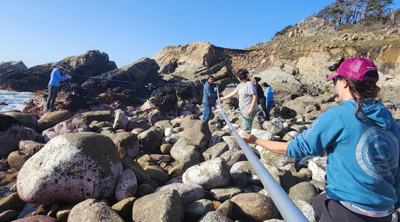 researchers in the rocky intertidal
