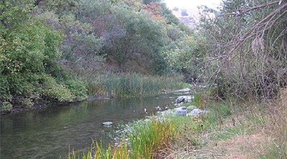 Alameda Creek