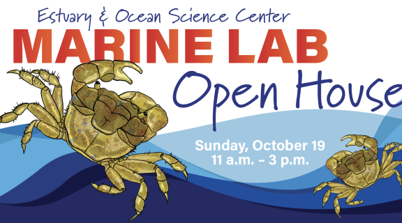 open house banner with two artistic crabs
